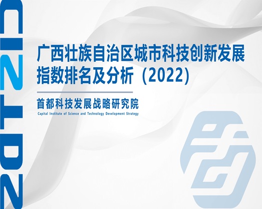 妞吊逼【成果发布】广西壮族自治区城市科技创新发展指数排名及分析（2022）